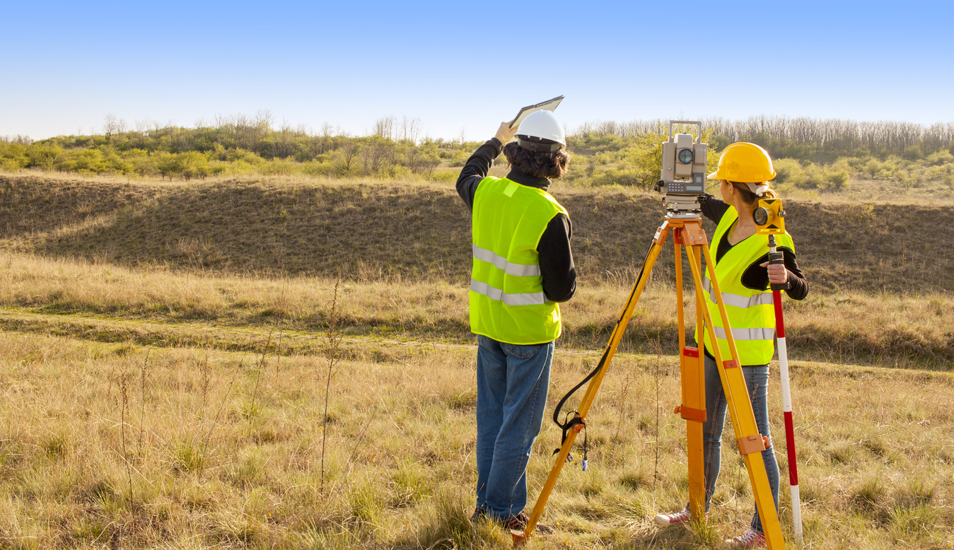 surveyors in the country